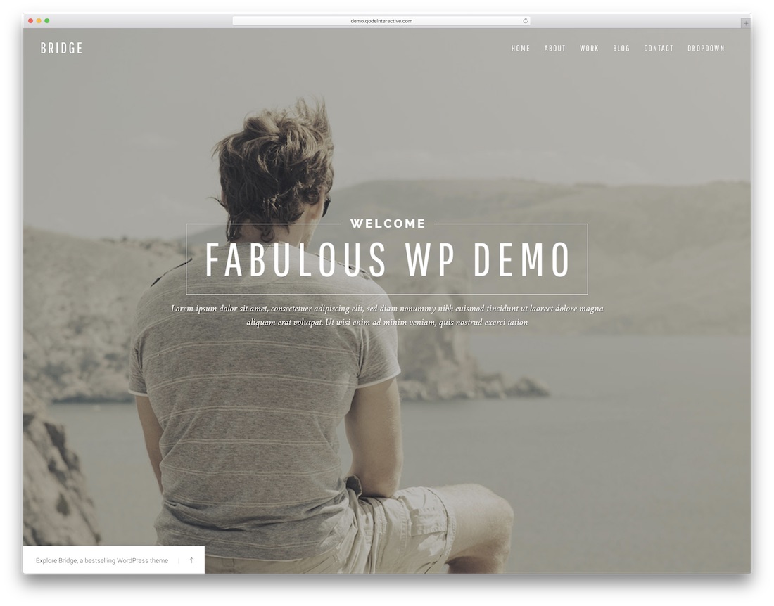 bridge simple wordpress theme