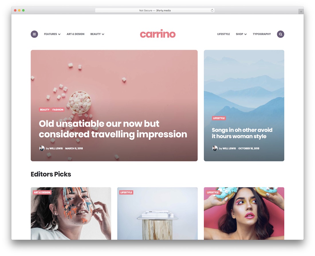 carrino feminine wordpress theme