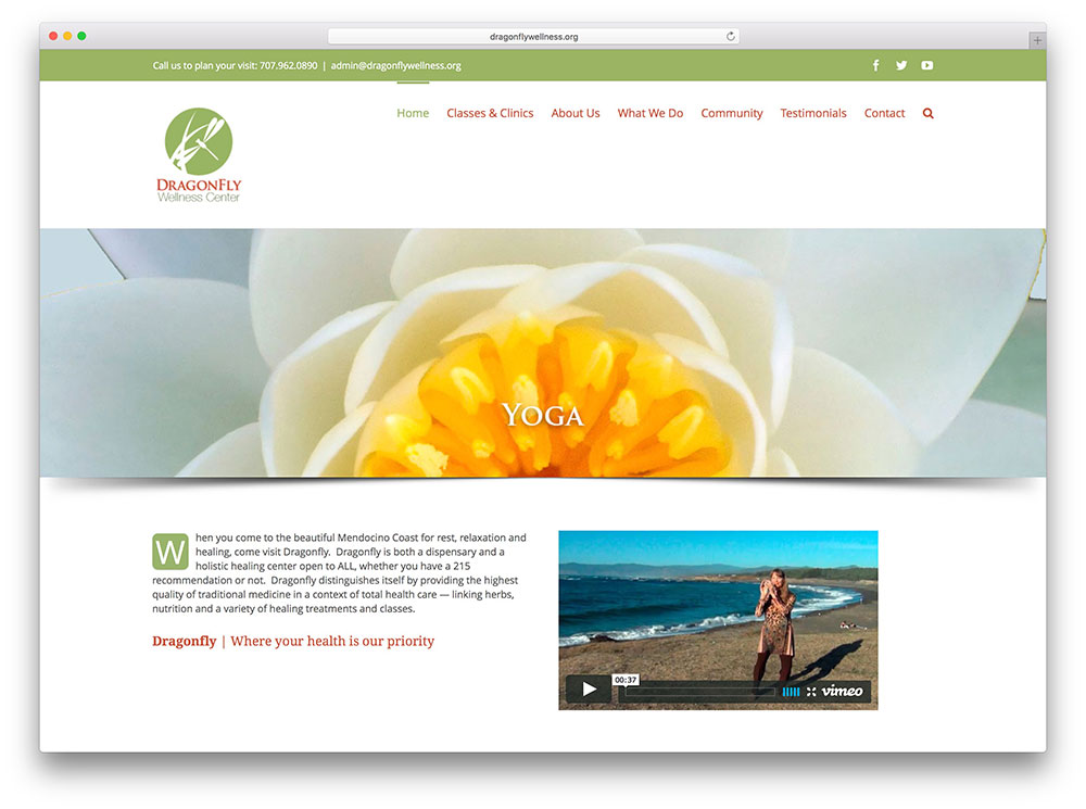 dragonflywellness-spa-avada-website-example