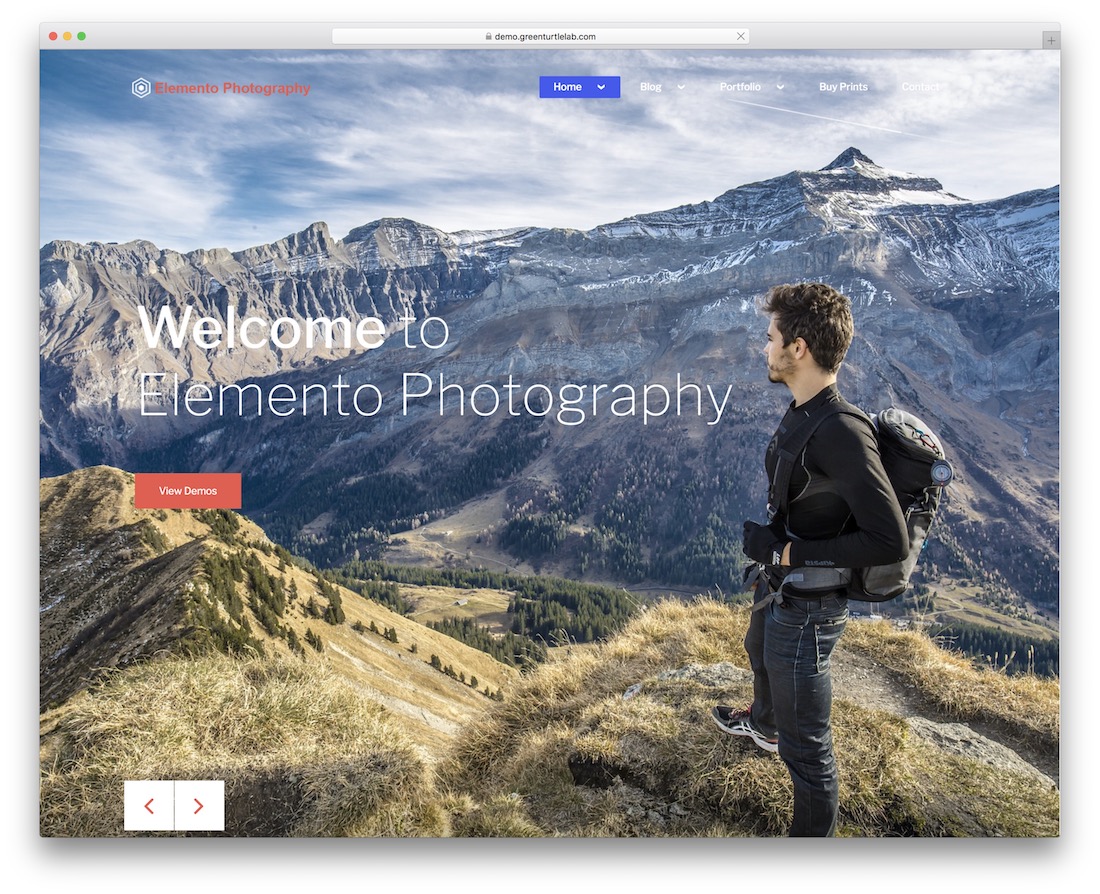 elemento photography free gallery wordpress theme