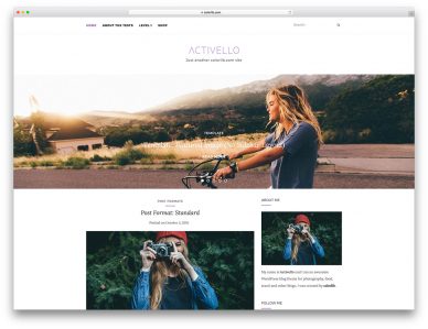 free minimalist WordPress themes