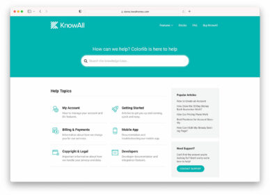 knowledge base WordPress themes