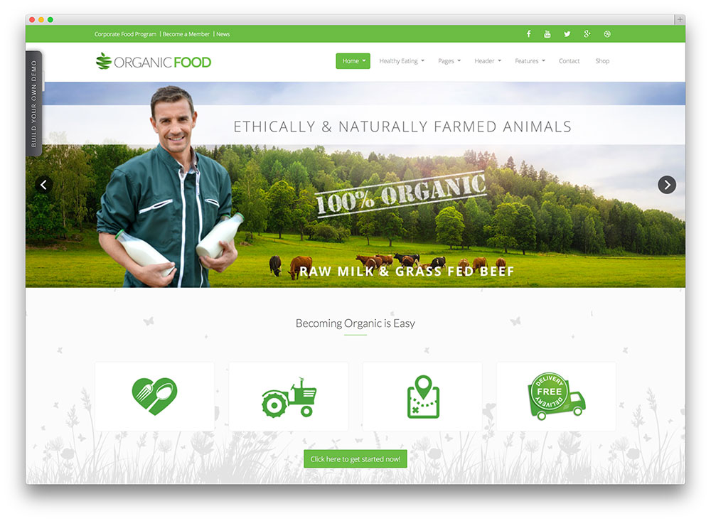 organic food healthy wordpress theme