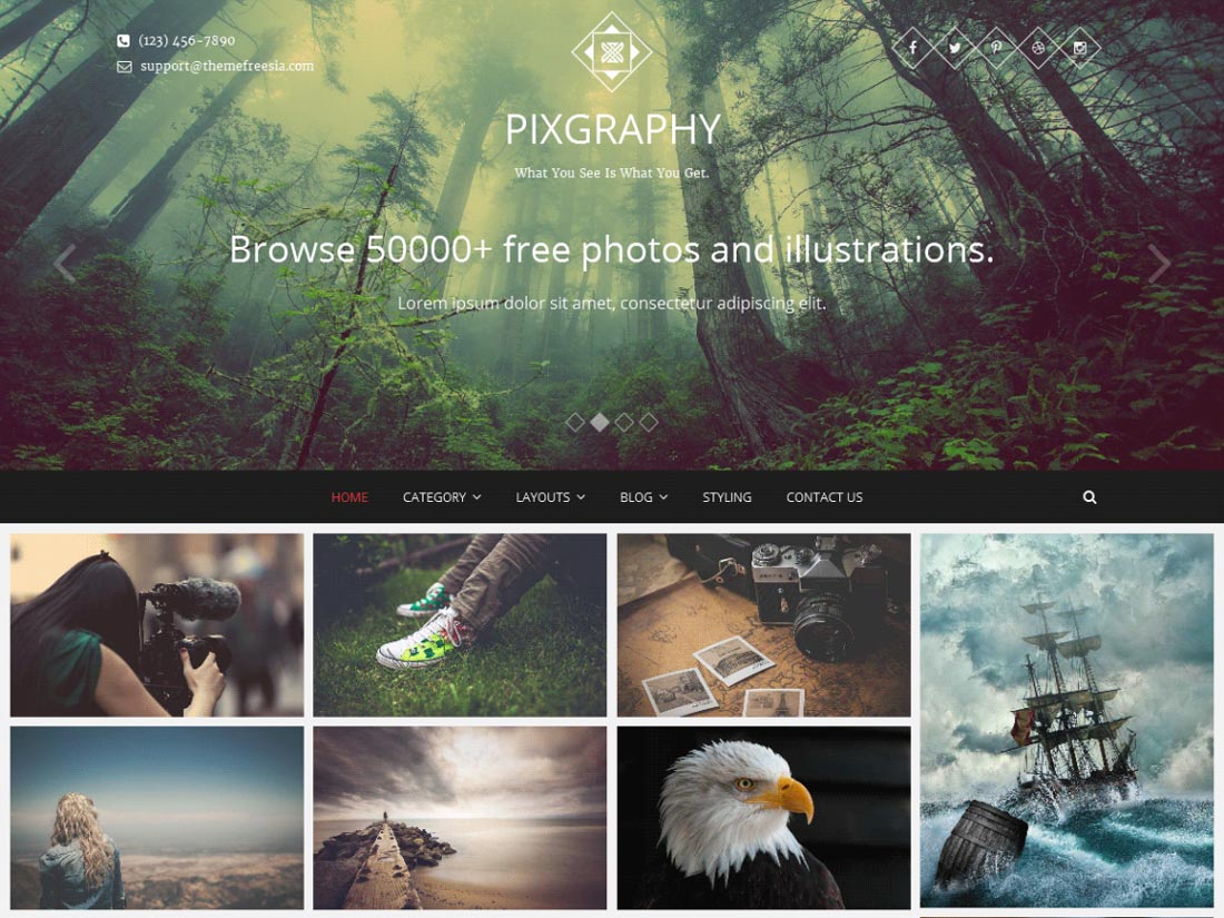 free gallery wordpress theme