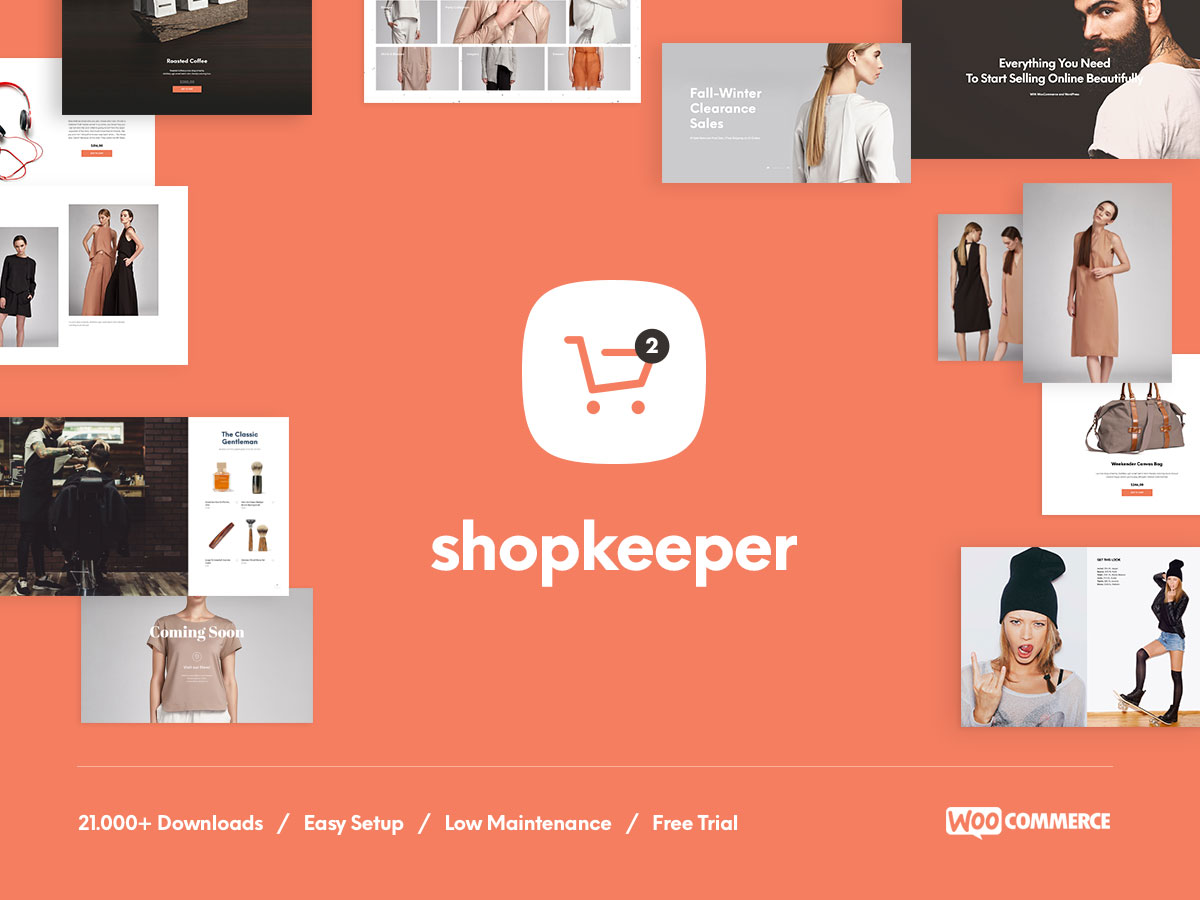 ecommerce WordPress theme