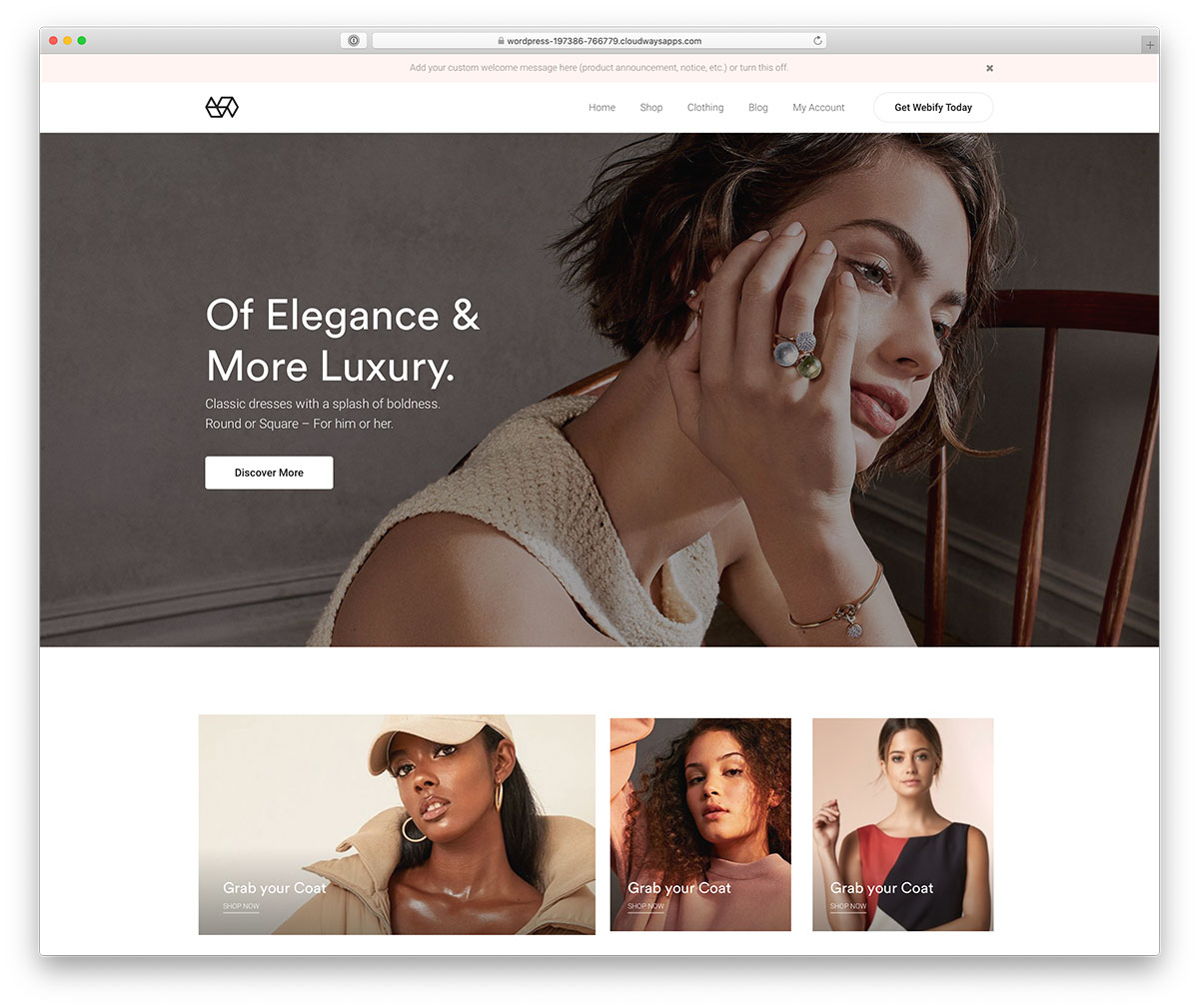 fashion ecommerce theme for WordPress