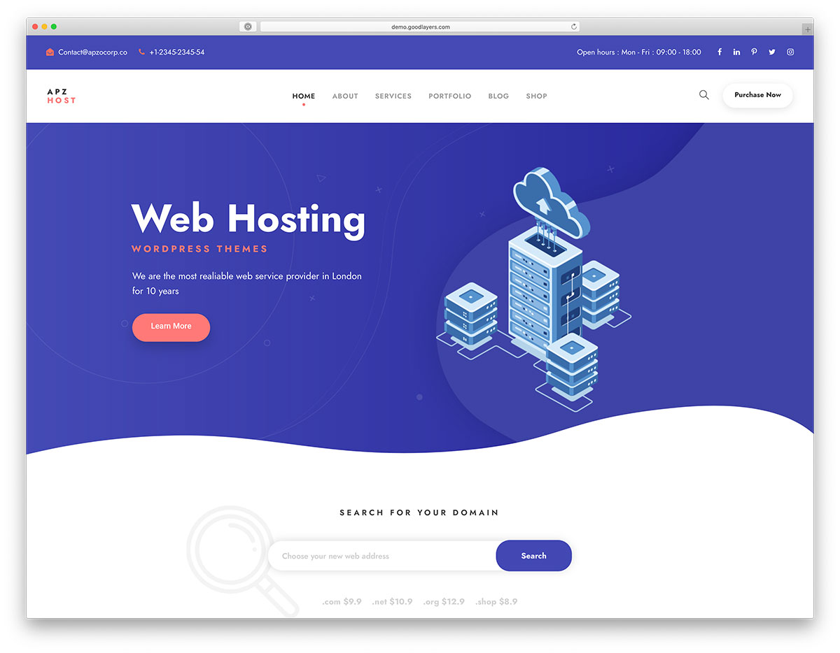 hosting WordPress themes